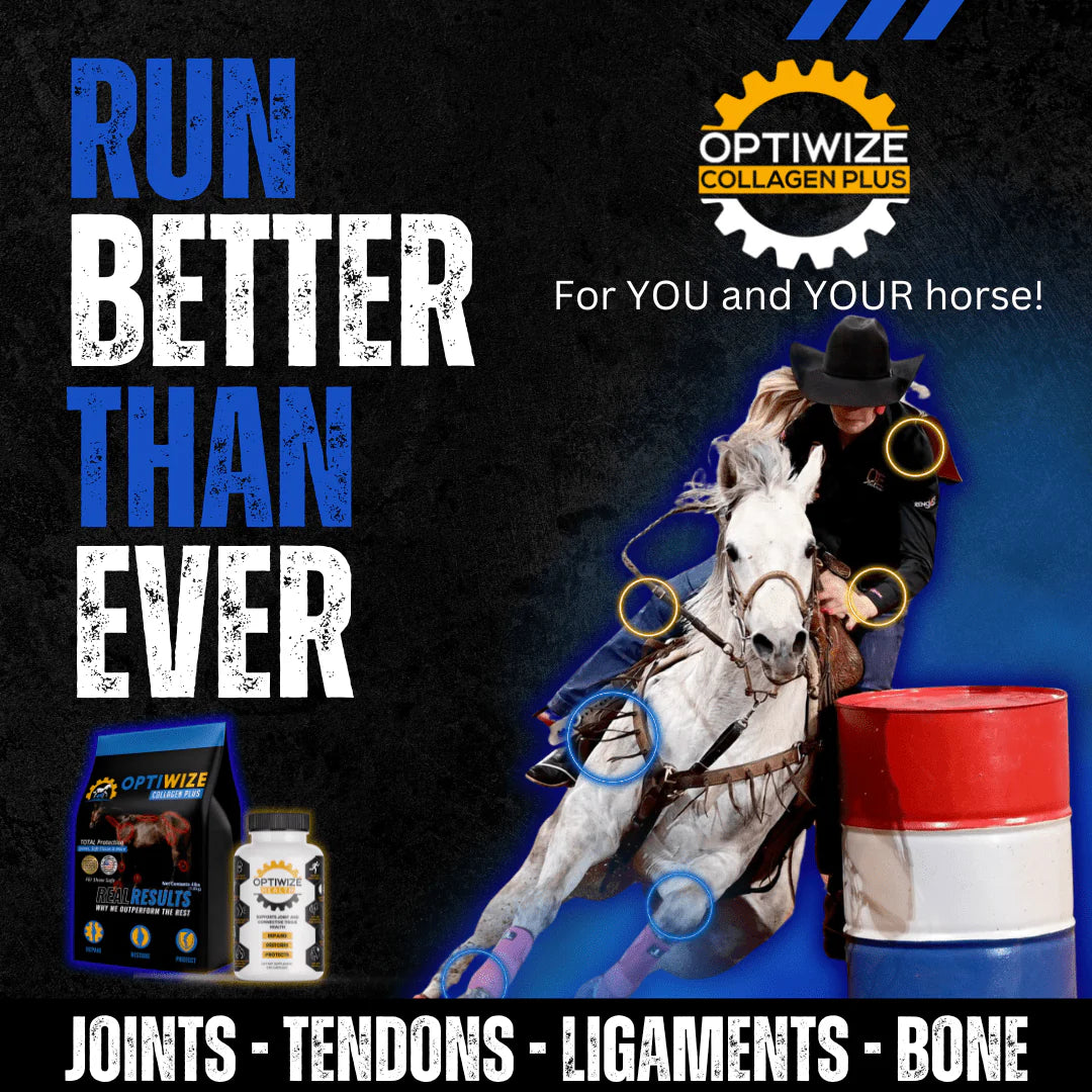OptiWize Collagen Plus Horse Joint Supplement