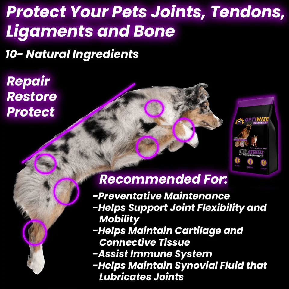 OptiWize Dog & Cat Joint Health Supplement