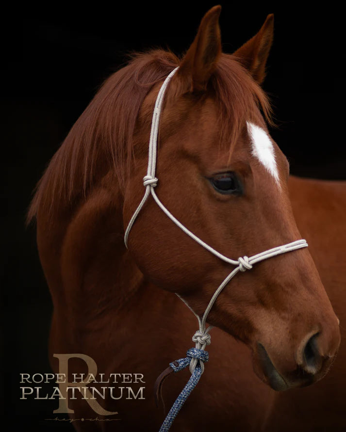 Hay Chix Redemption Rope Halter