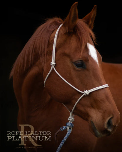 Hay Chix Redemption Rope Halter