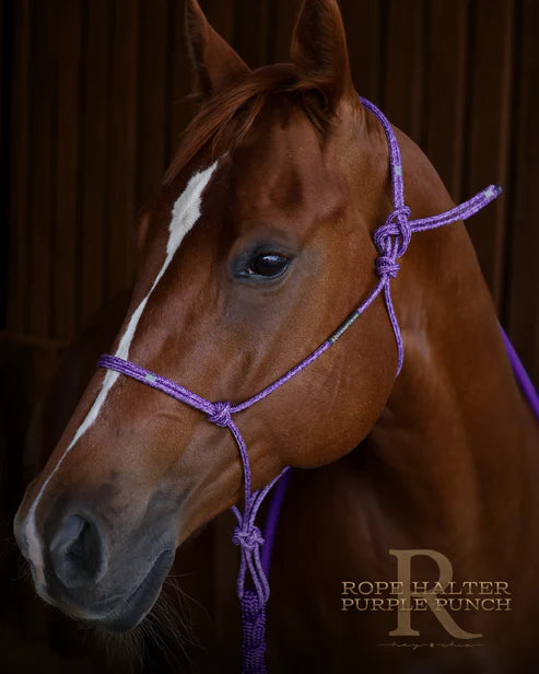 Hay Chix Redemption Rope Halter- Standard Size