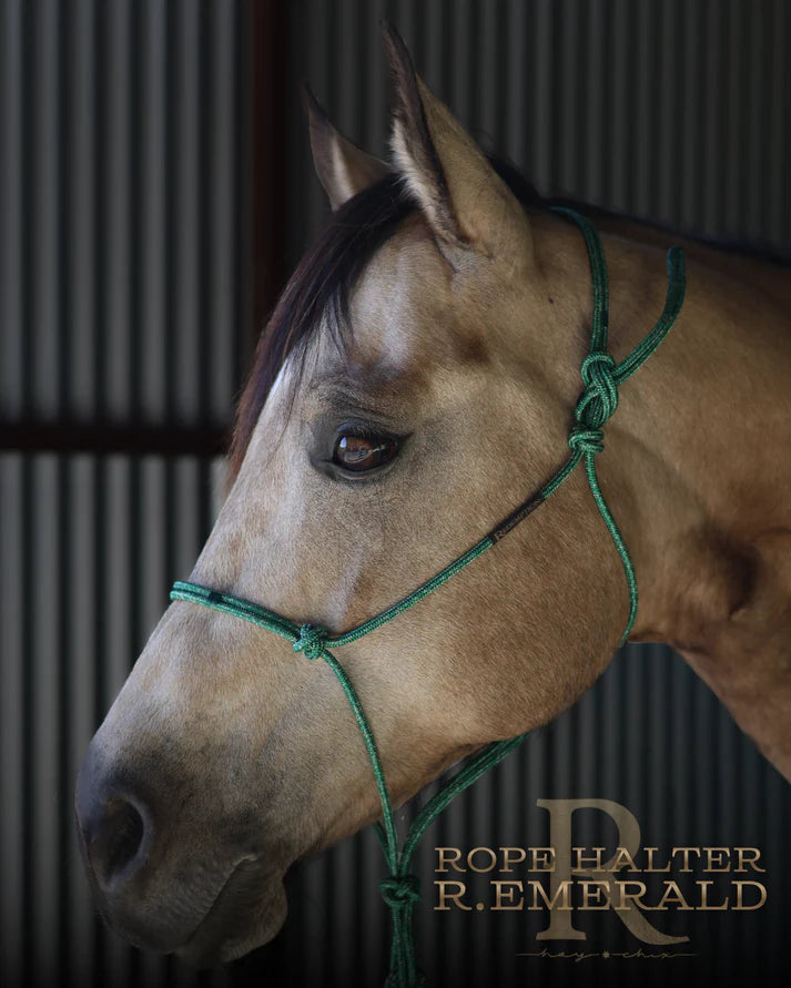 Hay Chix Redemption Rope Halter