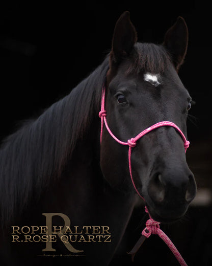 Hay Chix Redemption Rope Halter