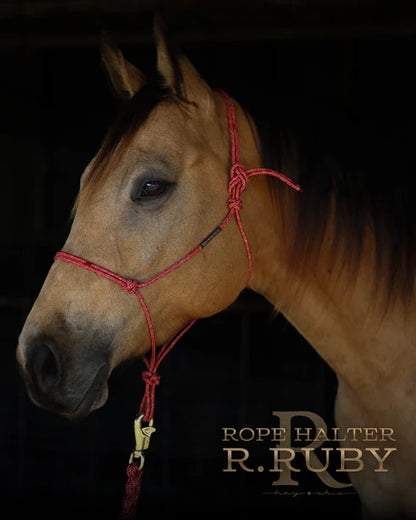 Hay Chix Redemption Rope Halter