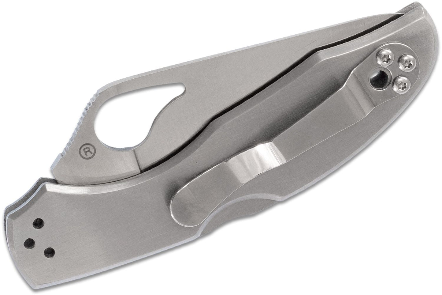 Spyderco Byrd Meadowlark 2 Knife