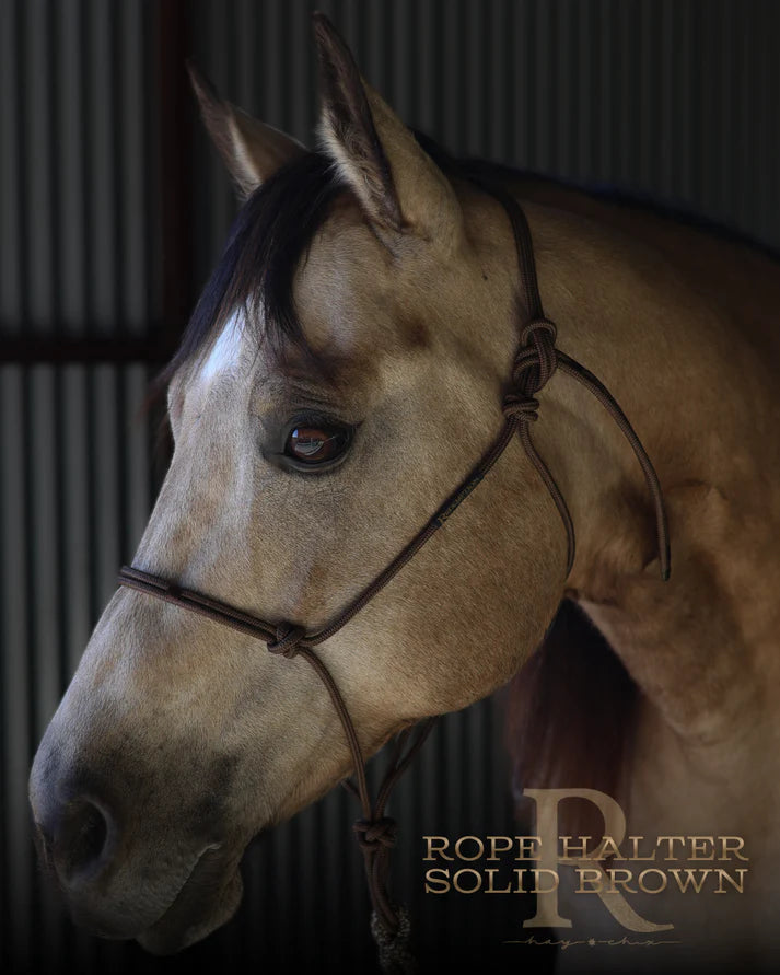 Hay Chix Redemption Rope Halter