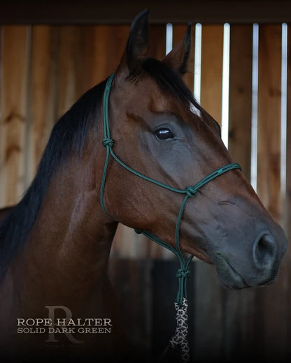 Hay Chix Redemption Rope Halter- Standard Size