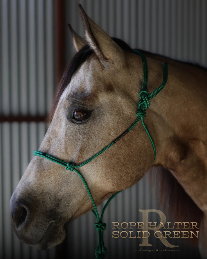 Hay Chix Redemption Rope Halter