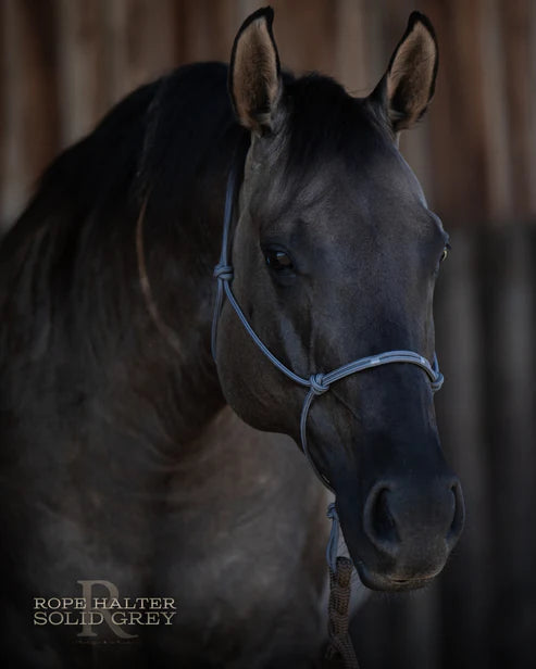 Hay Chix Redemption Rope Halter- Standard Size