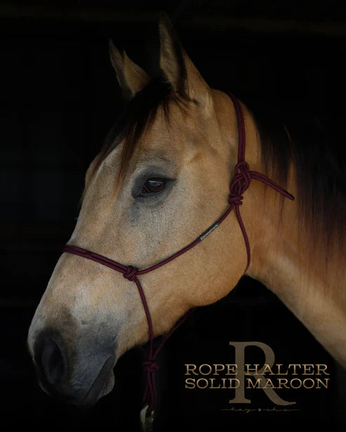 Hay Chix Redemption Rope Halter- Standard Size