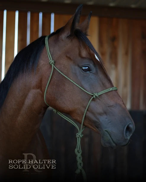 Hay Chix Redemption Rope Halter- Standard Size