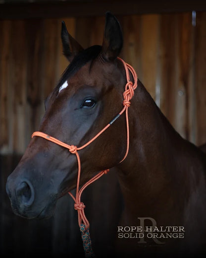 Hay Chix Redemption Rope Halter- Standard Size