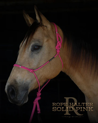 Hay Chix Redemption Rope Halter- Standard Size