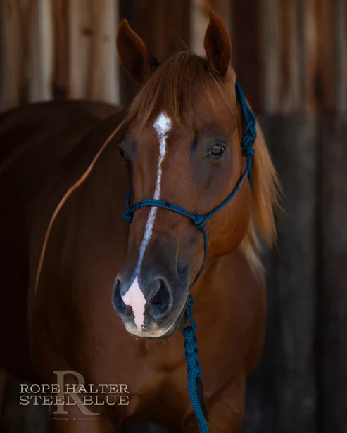 Hay Chix Redemption Rope Halter- Standard Size