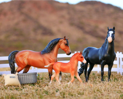 Breyer Freedom Series "Spanish Mustang Family"