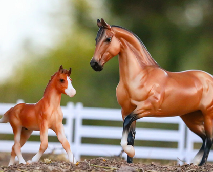 Breyer Freedom Series "Spanish Mustang Family"