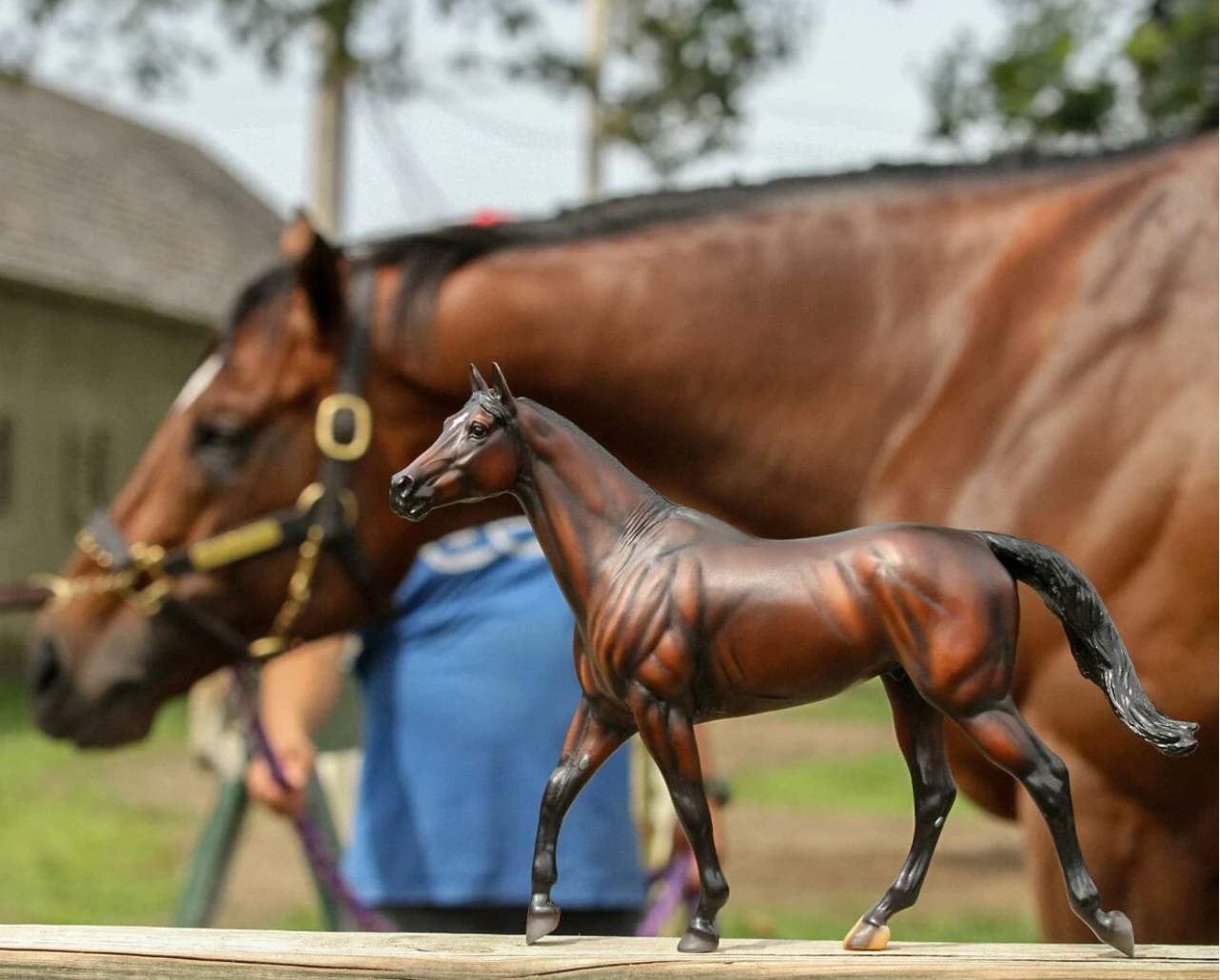 Breyer Traditional Series "Cody's Wish"