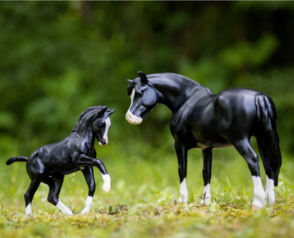 Breyer Traditional Series "Welsh Pony Mare and Foal | Nistar Blazing Kansas LOM & GTF Blazing Ethel"