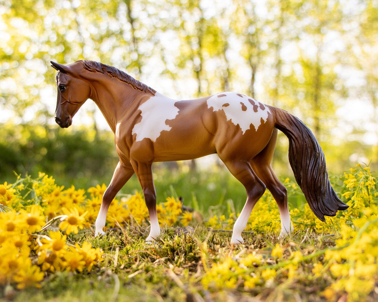 Breyer Freedom Series "Red Dun Pintaloosa"