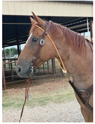 Fast Back Rope Headsetter