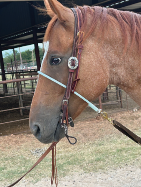 Fast Back Rope Tie Down