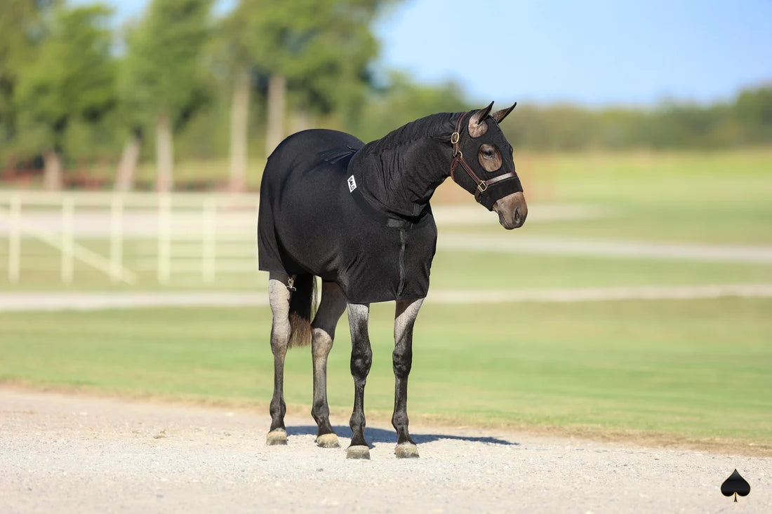 Solo Select Equine Full-Body Slinky with Antimicrobial Shield