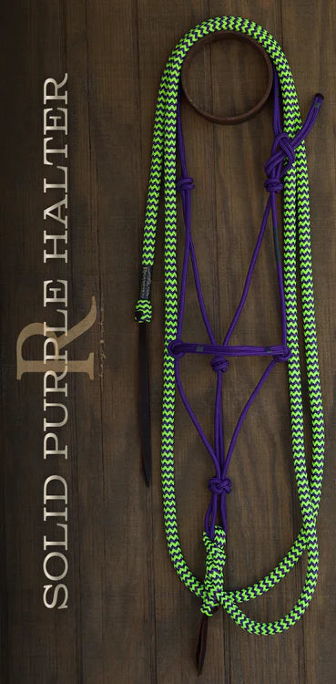 Hay Chix Halter & Lead Rope Set