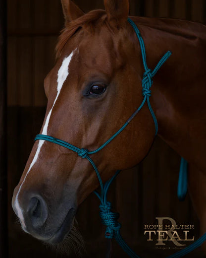 Hay Chix Redemption Rope Halter- Standard Size