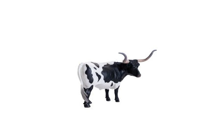 Little Buster Texas Longhorn Steer Black/White