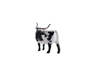 Little Buster Texas Longhorn Steer Black/White