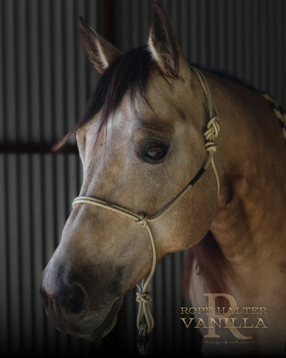 Hay Chix Redemption Rope Halter