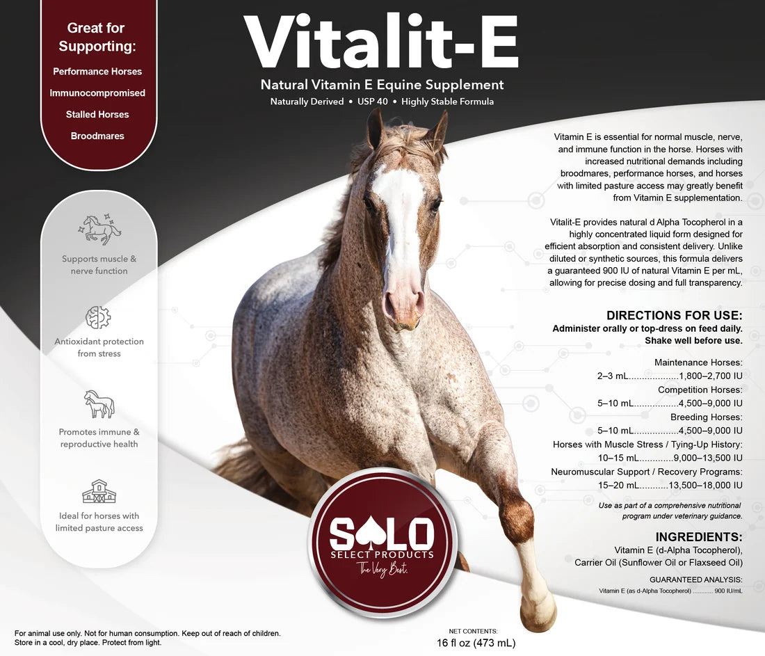 Solo Select Vitalit-E: Vitamin E Liquid Horse Supplement 16oz.