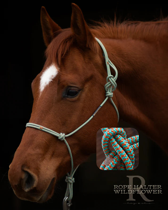 Hay Chix Redemption Rope Halter