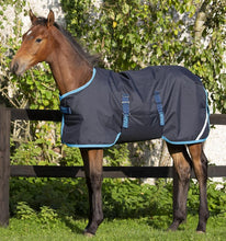 Load image into Gallery viewer, Horseware Amigo® Ripstop Foal Turnout (200g Medium) Winter Blanket
