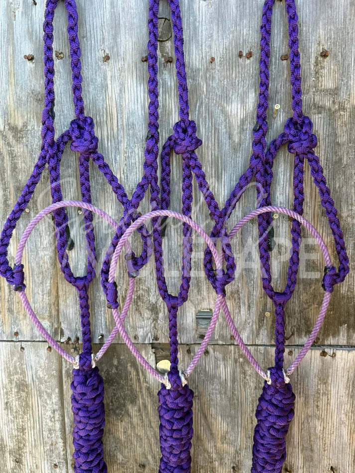 Special C Muletape Lariat Halter w/ Lead