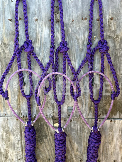 Special C Muletape Lariat Halter w/ Lead