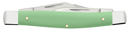 Case Smooth Mint Green Synthetic Medium Stockman Knife