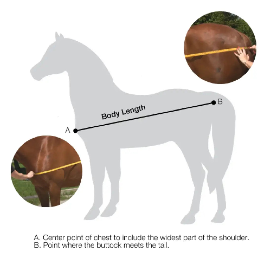 Back On Track Royal Mesh Neck Cover Deluxe Horse Therapy