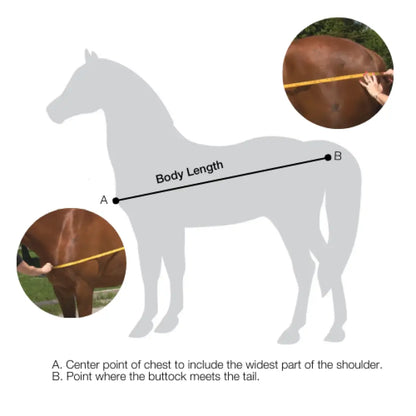 Back On Track Royal Mesh Sheet Deluxe Horse Therapy