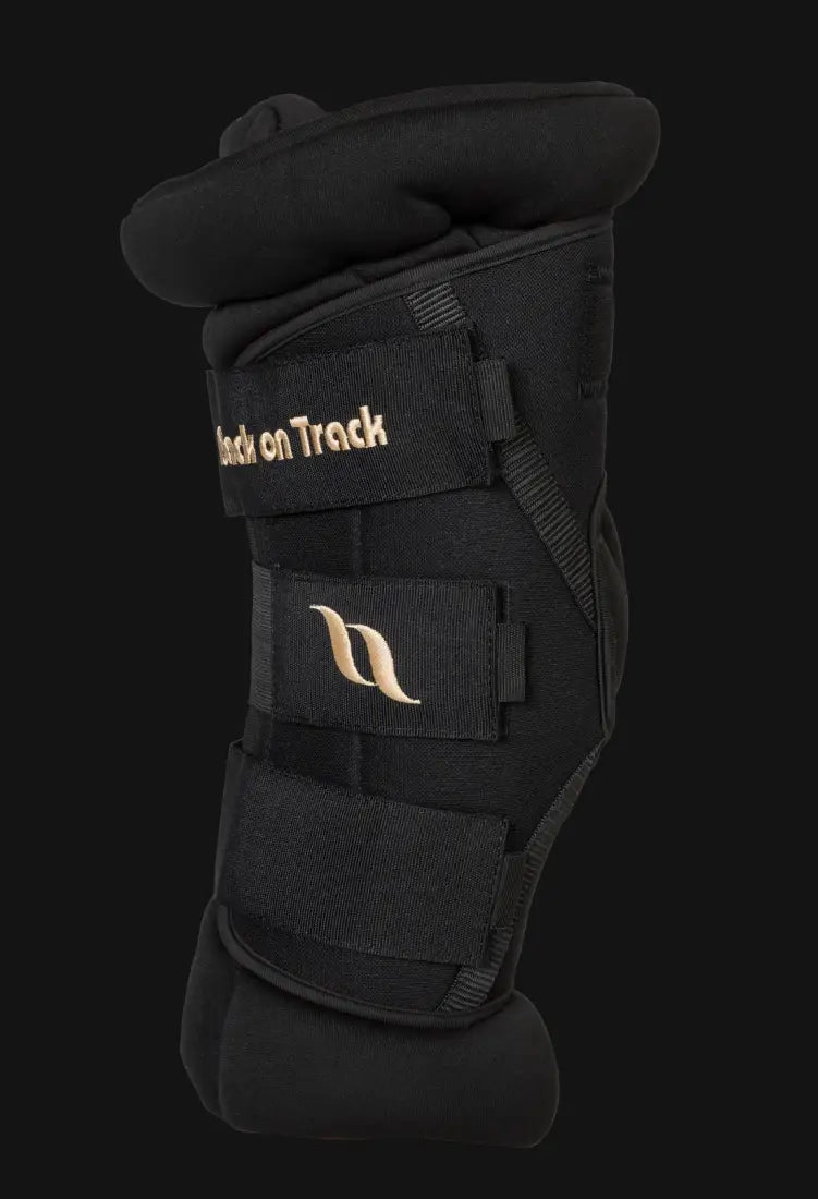 Back On Track Royal Padded Hock Boots Deluxe (Sold In Pairs) Horse Therapy
