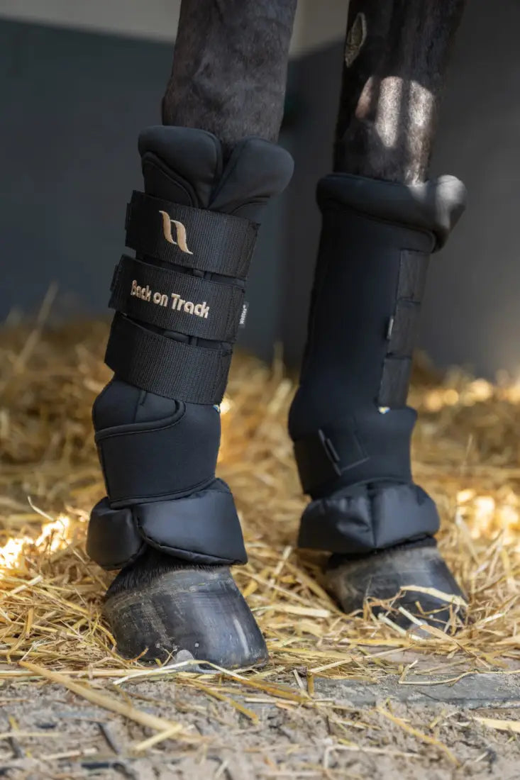Back On Track Royal Quick Wraps Deluxe Horse Therapy