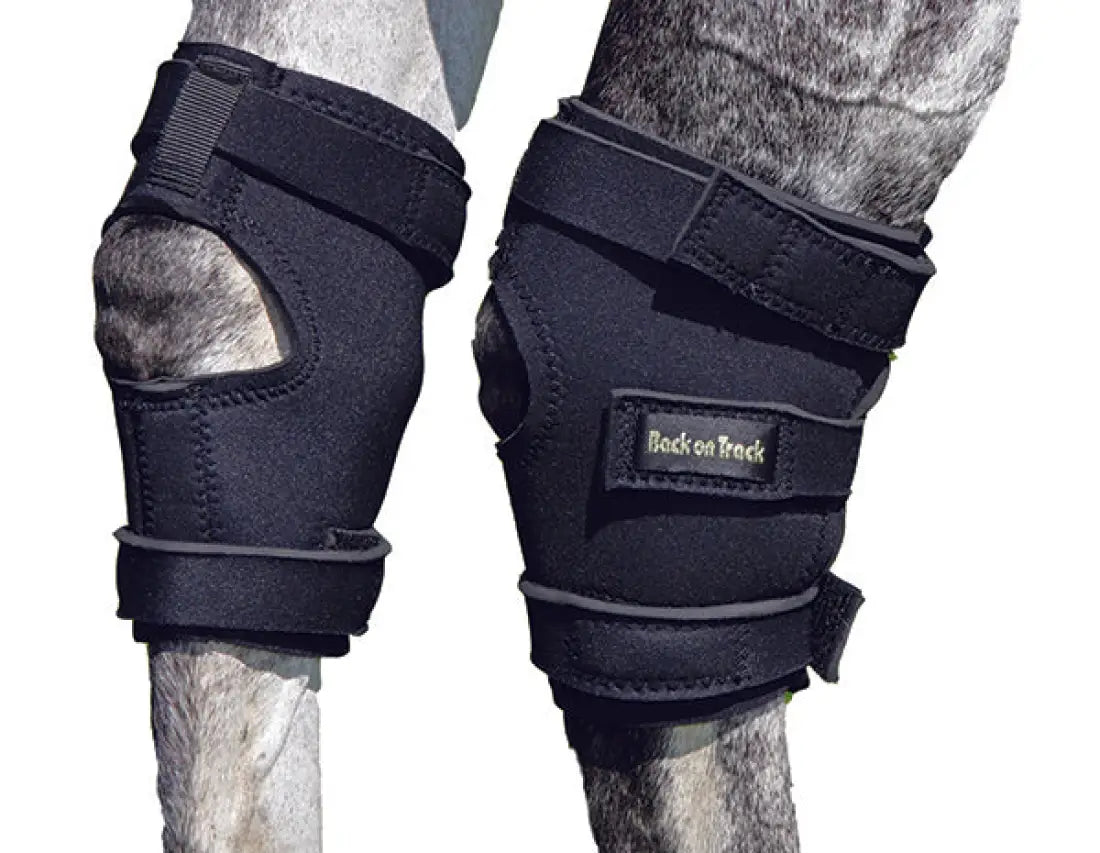 Back On Track Therapeutic Hock Boots (Sold In Pairs) Horse Therapy