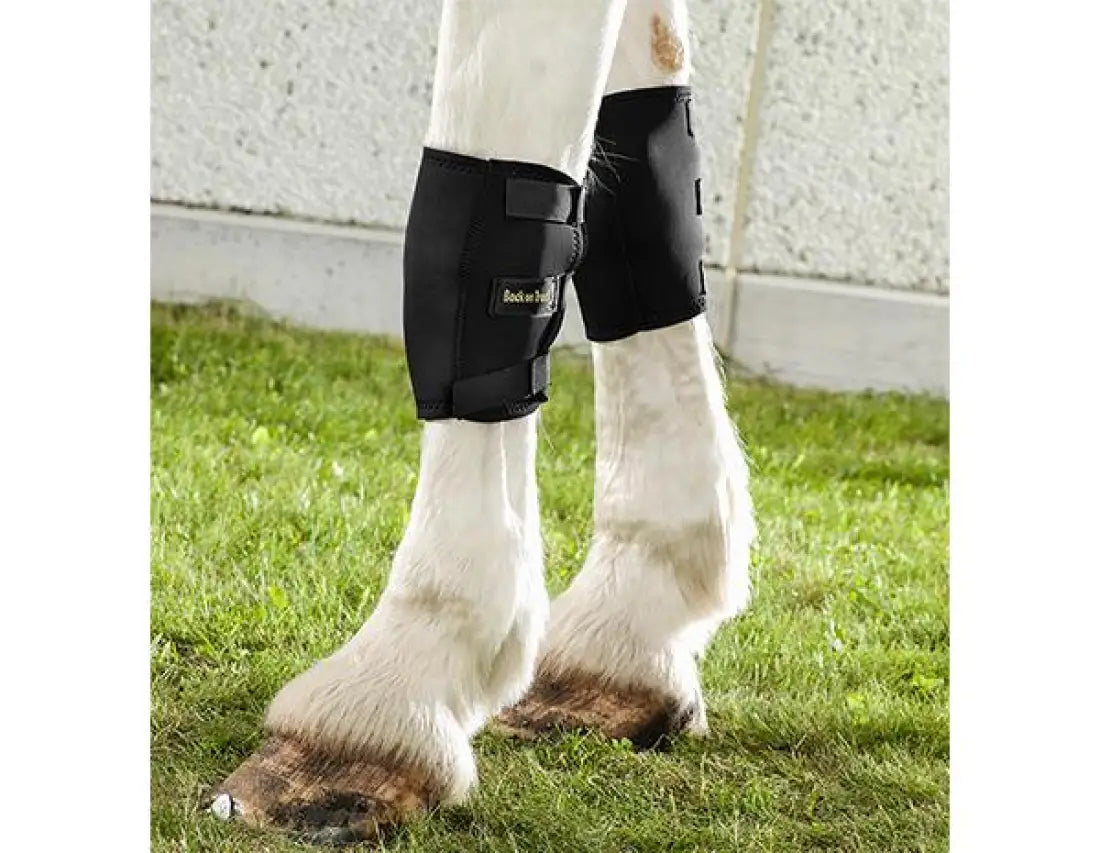 Back On Track Therapeutic Horse Knee Boots (Pair) Horse Therapy