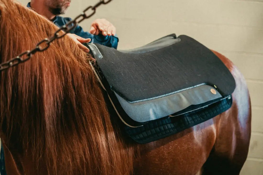 Back On Track Therapeutic Western Saddle Pad Liner Horse Therapy