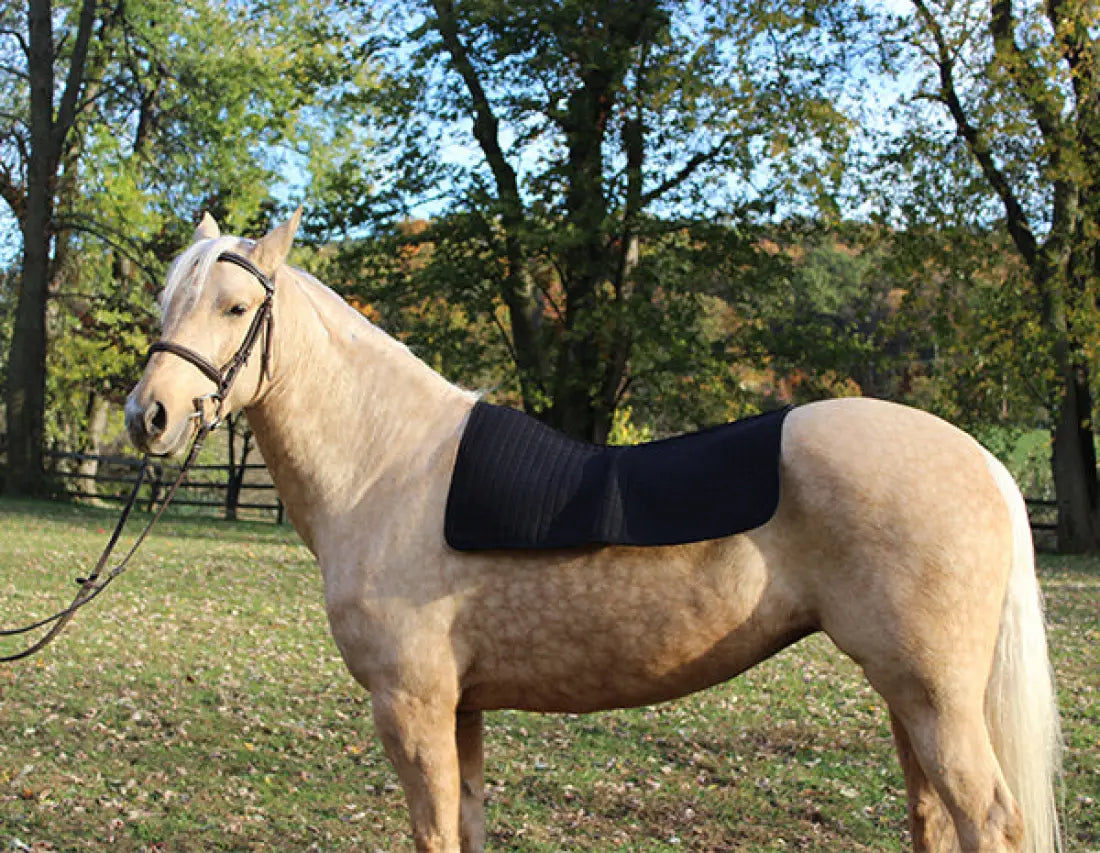 Back On Track Therapeutic Western Saddle Pad Liner Horse Therapy