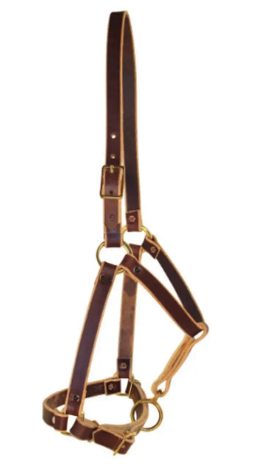 Berlin Riveted Leather Yearling Halter Yearling 3/4’’ Halter
