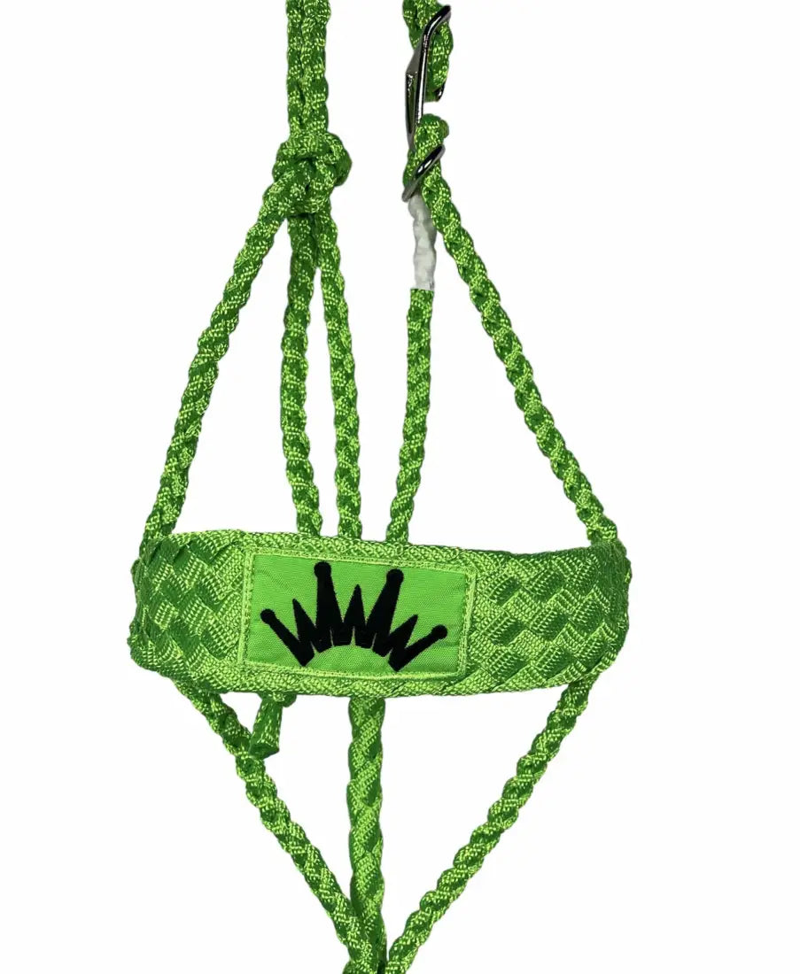 Best Ever Mule Tape Halter with 8.5’ Lead Neon Green Halter