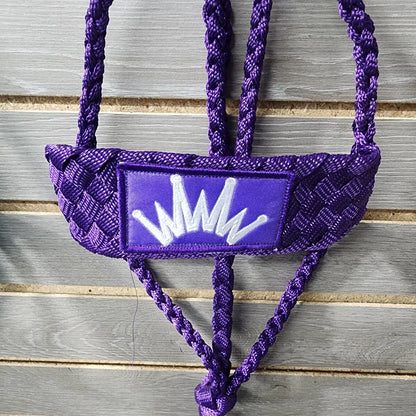 Best Ever Mule Tape Halter with 8.5’ Lead Purple Halter