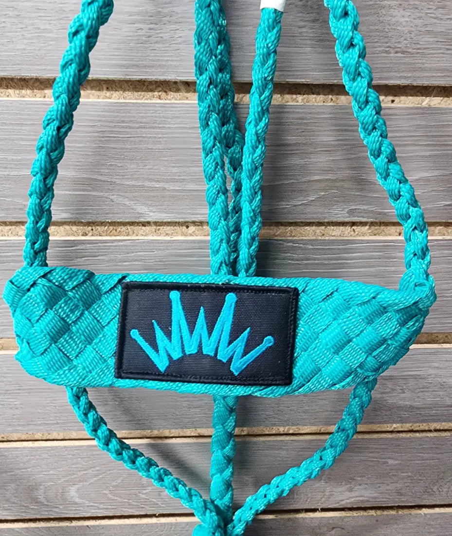 Best Ever Mule Tape Halter with 8.5’ Lead Teal w/ Teal Crown Halter