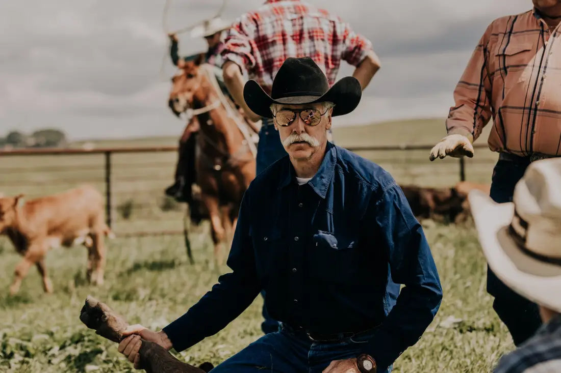 BEX Wesley Sunglasses Sunglasses